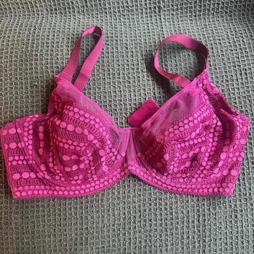 HSIA Vibrant Fuchsia Lace Bra